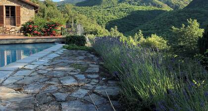 Le Cascate - Traditional Tuscan stone house with Pool in Caprese Michelangelo