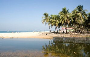 A beach with palm trees, a clear sky, and a calm sea. - Casa de Aaron with beachfront access, located on the Colva beach Road (Colva)