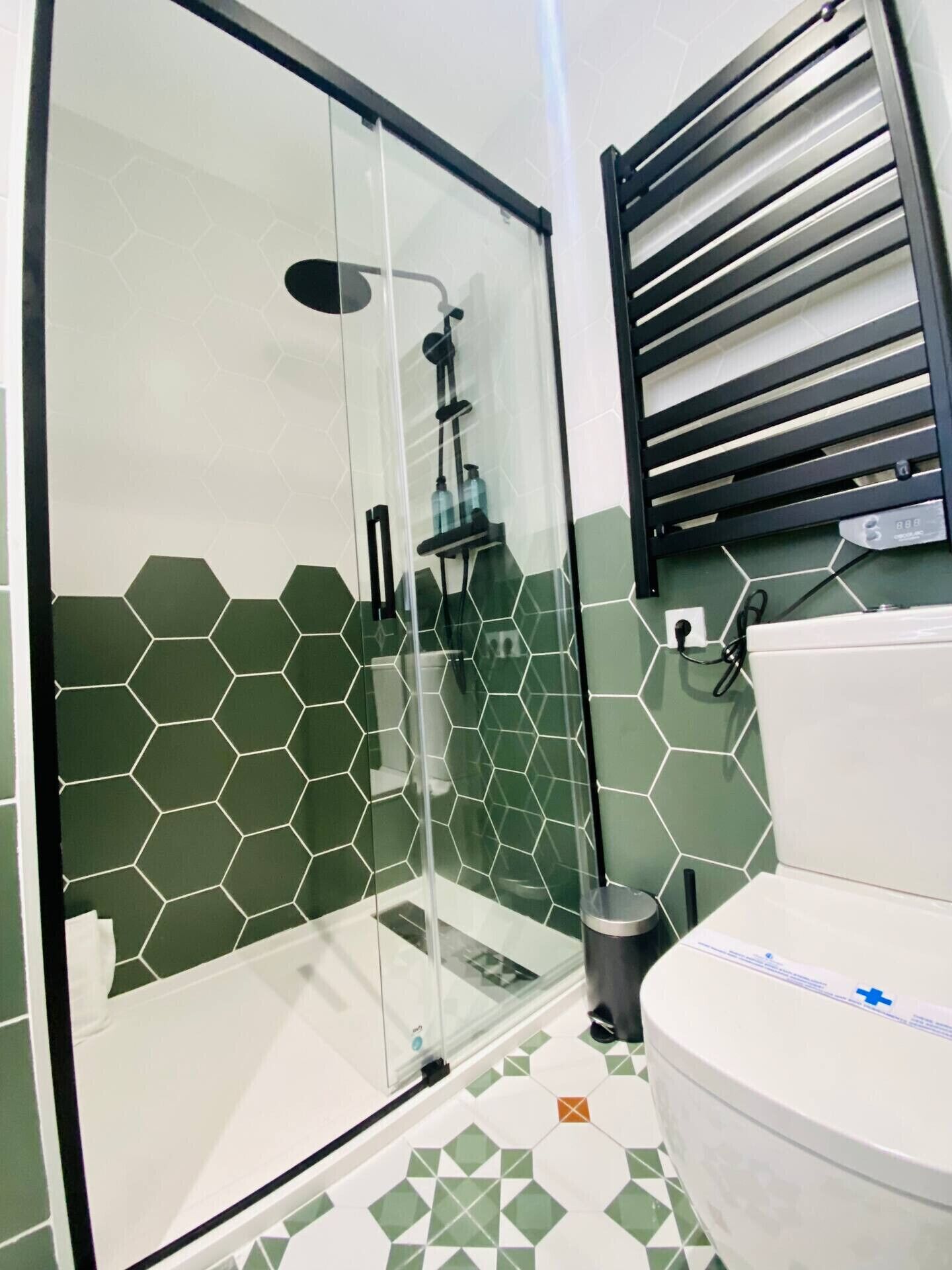 Shower, hair dryer, towels
