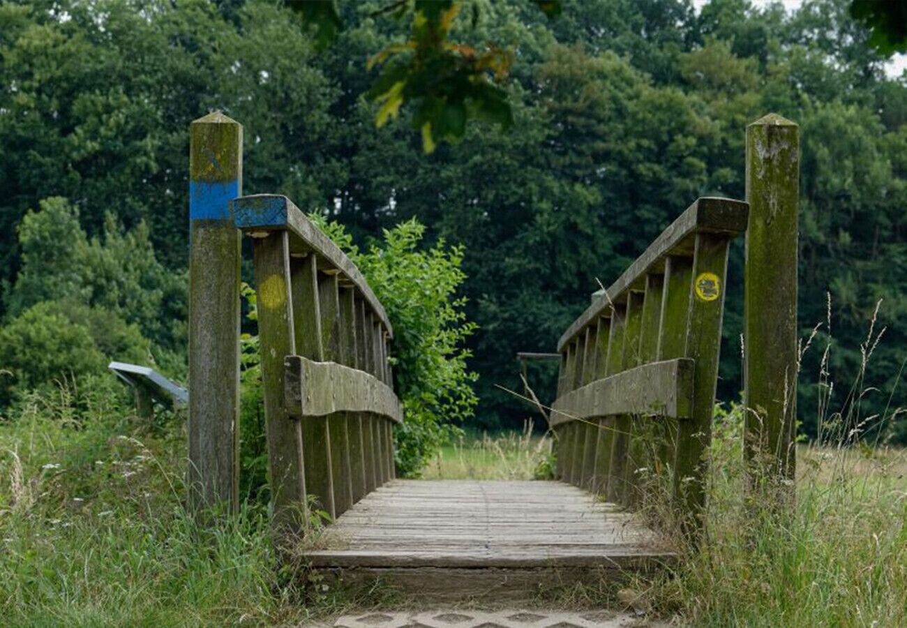 A wooden footbridge in a natural setting.