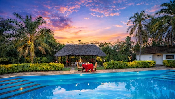 A swimming pool with a thatched-roof pavilion and palm trees.