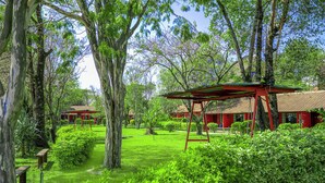 A lush garden with a swing set, surrounded by trees and a red-roofed building.