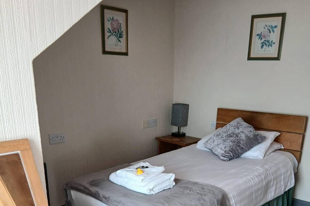 Single Room, Non Smoking | Soundproofing, iron/ironing board, WiFi (free)