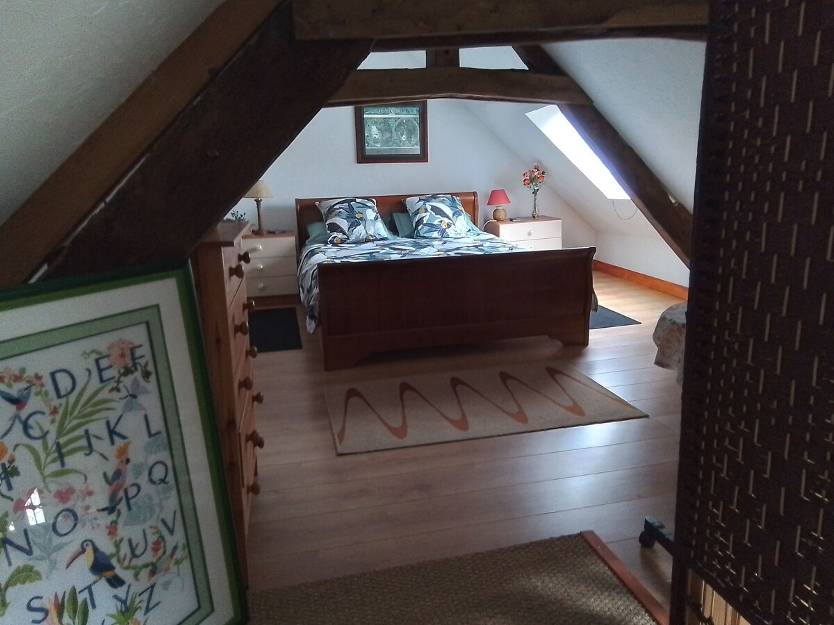 Image de profil de l’hôte