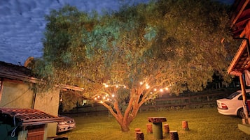 Área da propriedade