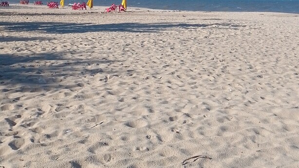 A beach with sand, umbrellas, and chairs. - Lar Jampa Praias Sul (Conde)