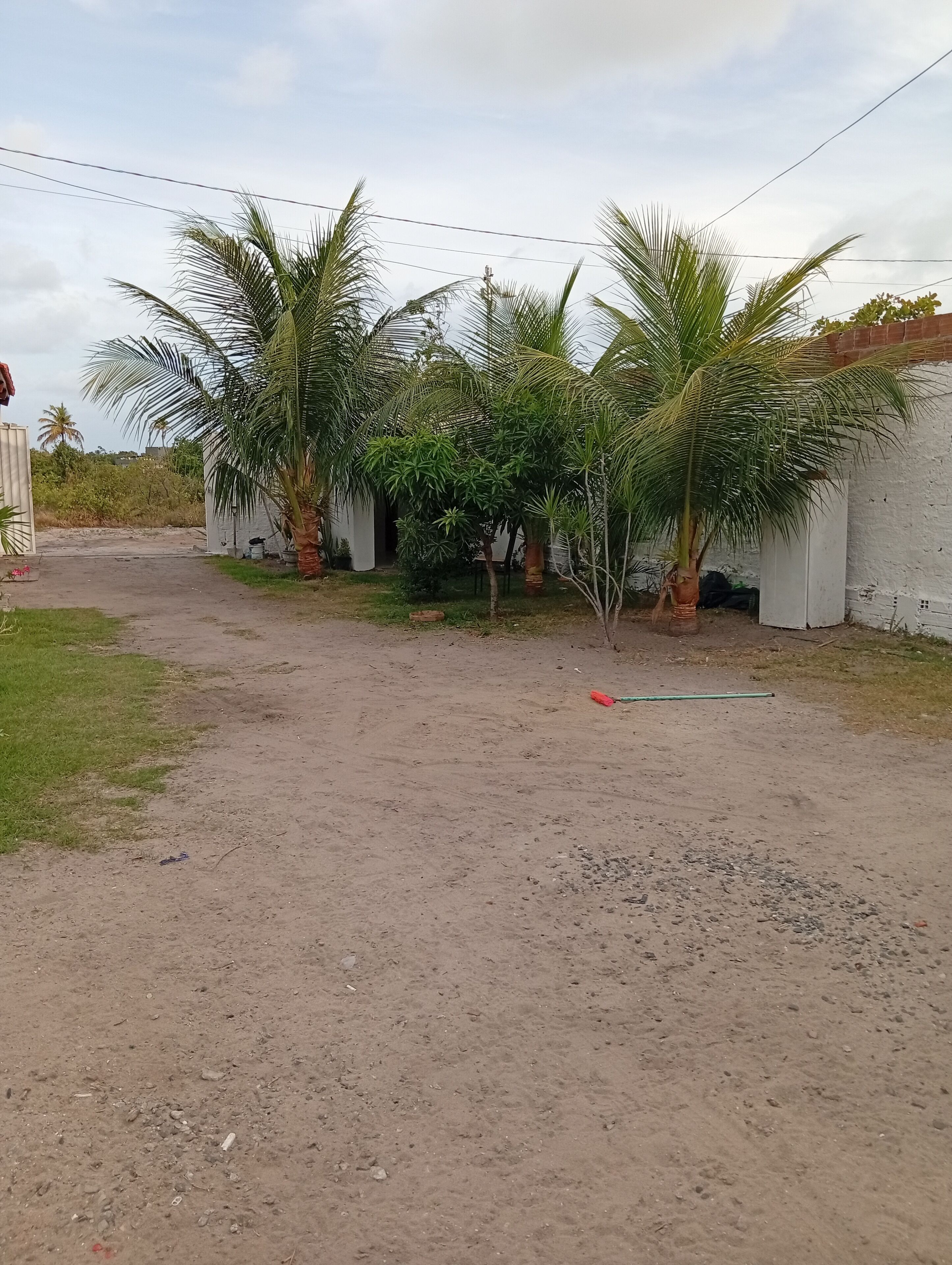 Un sendero de tierra que lleva a un edificio blanco con palmeras.
