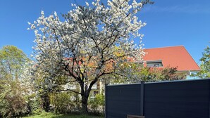 A patio with a table and two chairs, a tree with white blossoms, and a red-roofed building in the background.