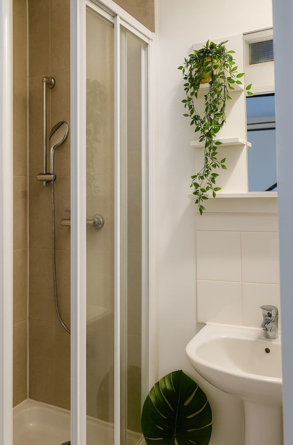 Chuveiro, secador de cabelo, toalhas de banho, shampoo