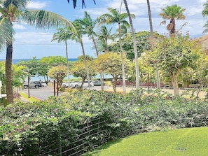 Property grounds - 2 Bd / 2 Bath across from Ocean and Beach - Maui Banyan G101 (Kihei)