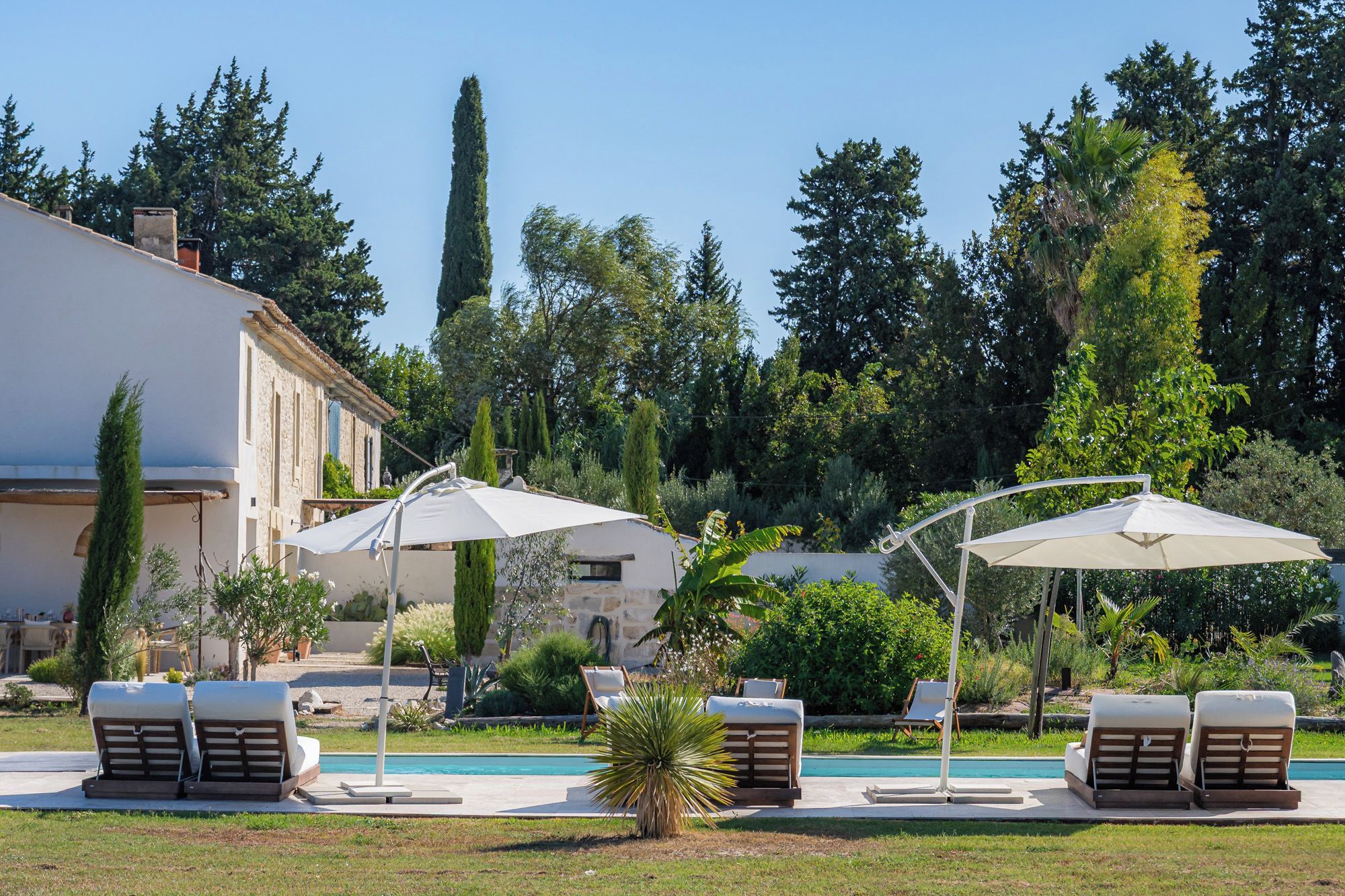 Un espace aménagé au bord de la piscine, avec des chaises longues et des parasols, entouré d’arbres et d’un bâtiment.