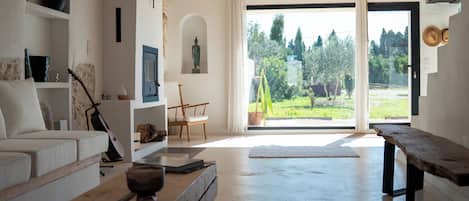 Smart TV, fireplace, books