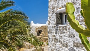 Un edificio in pietra con una finestra e una palma sullo sfondo.