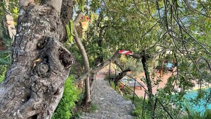 A stone staircase surrounded by greenery, leading to a pool area. - Soller Sunset Escape | Private Pool and Sea Views (Sóller)