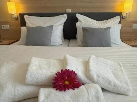 Standard Double Room. Kaiserhof Feldberg by Belvilla Resorts