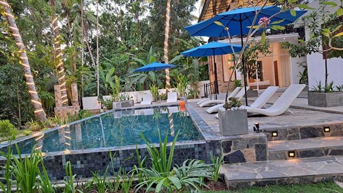  Hikka Cherish Cozy Vibe _ Where Nature Meets Cozy Comfort