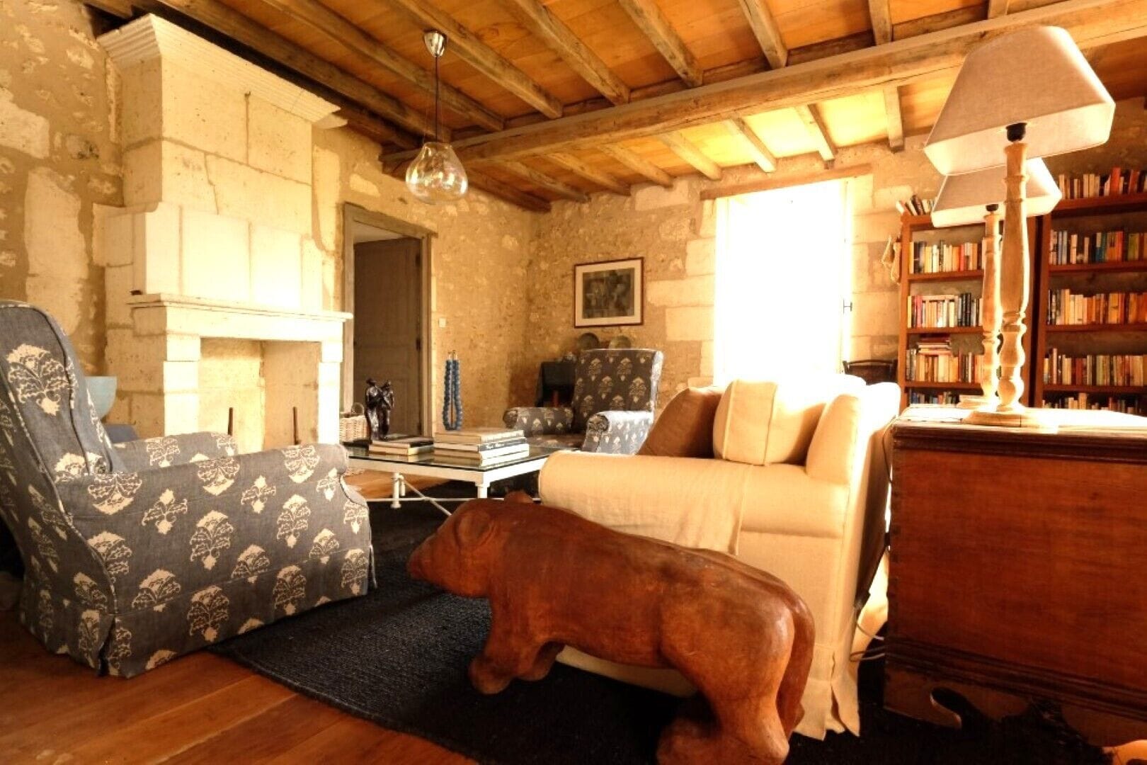 Télévision, cheminée, lecteur de DVD, livres