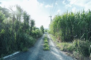 Πρόσοψη καταλύματος