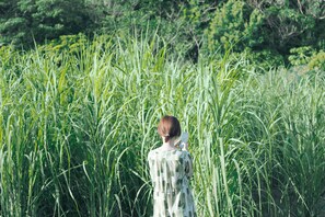 Κατάλυμα σε Αγροικία | Θέα από το δωμάτιο