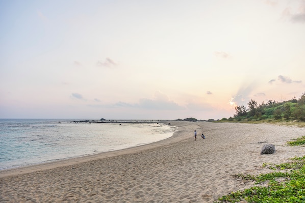 Beach - A-MAMI 315 (Amami)