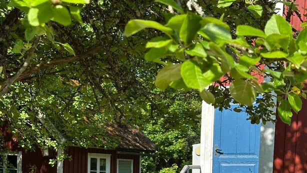 Outdoor dining - Idyllic country house with rowing boat (Öremåla)