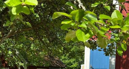 Idyllic country house with rowing boat