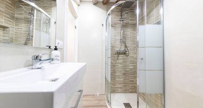 Cozy Attic in the City Center of Soria