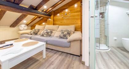 Cozy Attic in the City Center of Soria