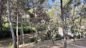 Ulkoalueet