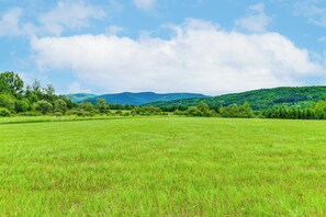 A vast green field with distant hills and a clear sky. - Near Cooperstown & Oneonta Baseball: Family Stay (Hobart)