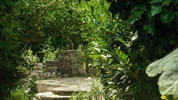 Una scala in pietra conduce a un muro di mattoni, circondata da vegetazione lussureggiante e piante fiorite.
