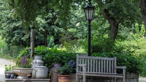 Una panchina da giardino, piante in vaso e un lampione d'epoca in un ambiente verde e rigoglioso.