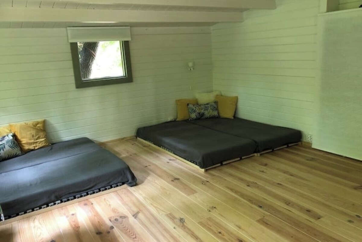 Imagen de perfil del propietario o de la propietaria