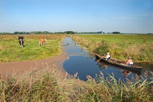 Appartement | 1 chambre