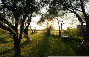 Apartment | 1 bedroom - H Nsemar Boerderijkamer (Weidum)