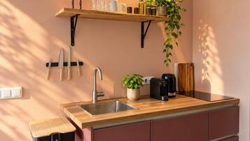 A modern kitchen with a wooden countertop, a stainless steel sink, and a hanging plant.