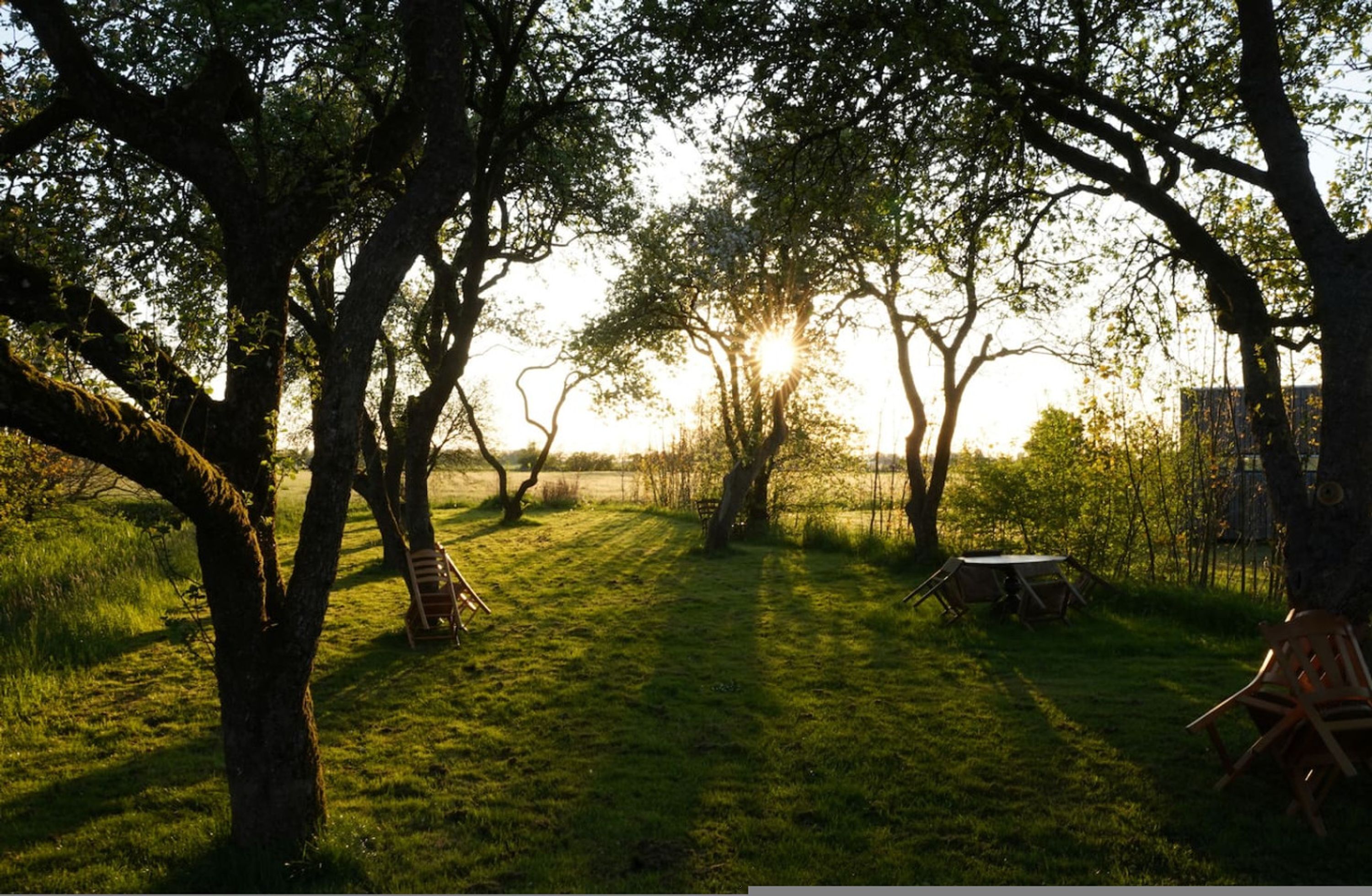 公寓 | 1 間臥室