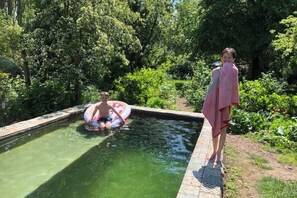 Pool - Romantic Vintage Caravan in a Quiet Nature Garden with Swimming Pond (Dreumel)