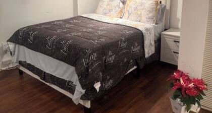 Tranquil 1- spacious studio with 1 Queen size bed & Queen Airbed in Quiet Elmont