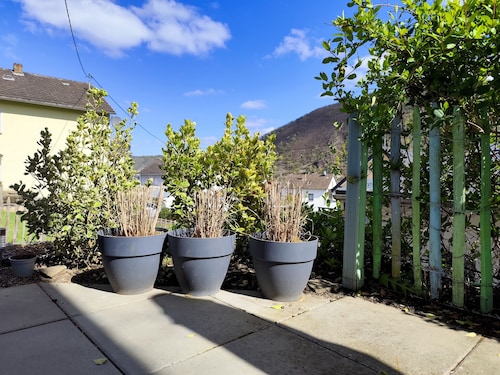 Vacation home "Sonnenhang" for 4 persons Moselle - Löf hiking vacation