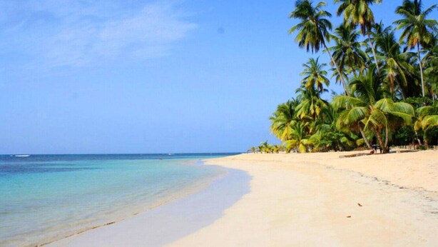 Een strand met helder turquoise water, een zandstrand en palmbomen.