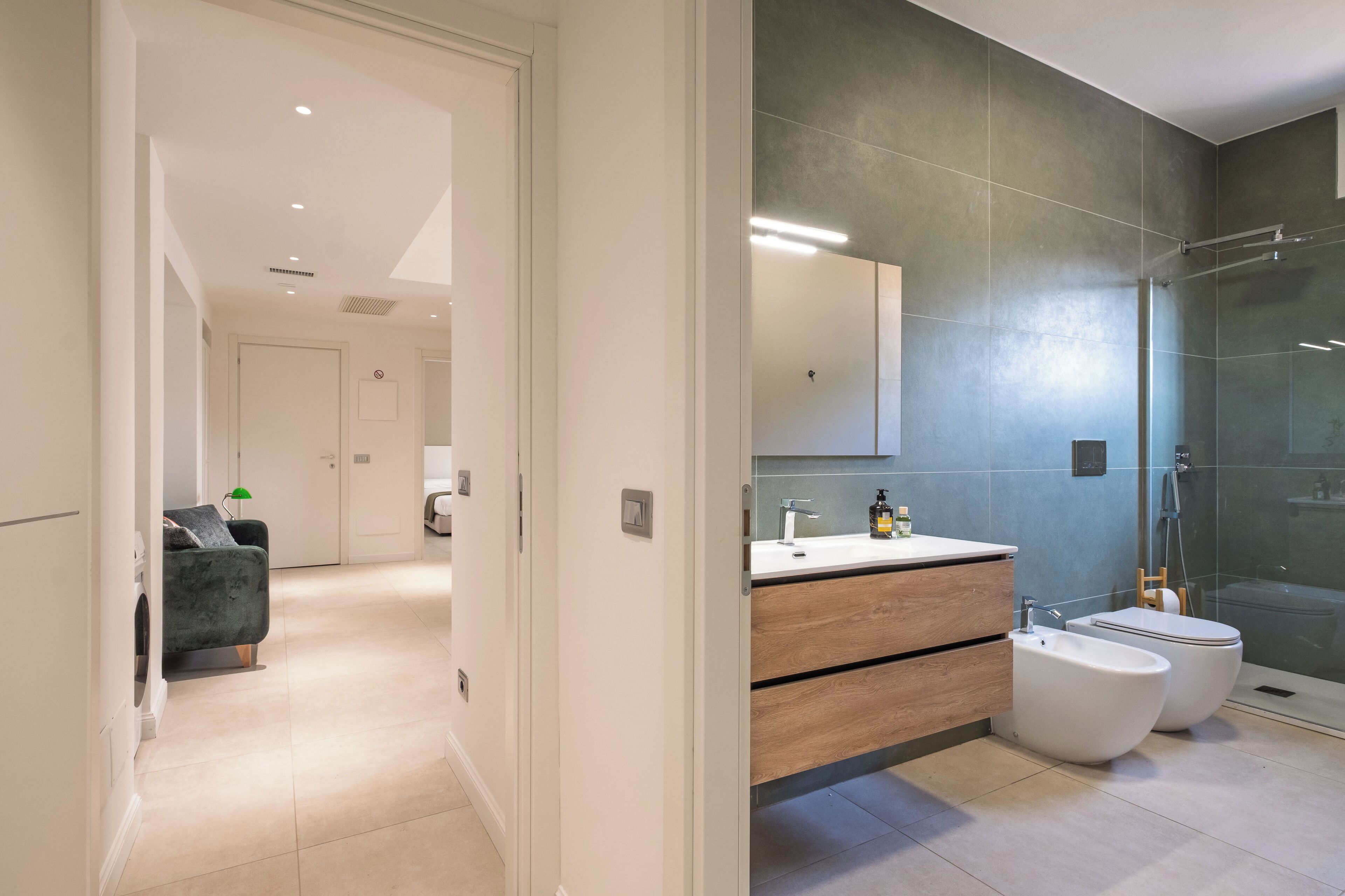Shower, hair dryer, bidet, towels
