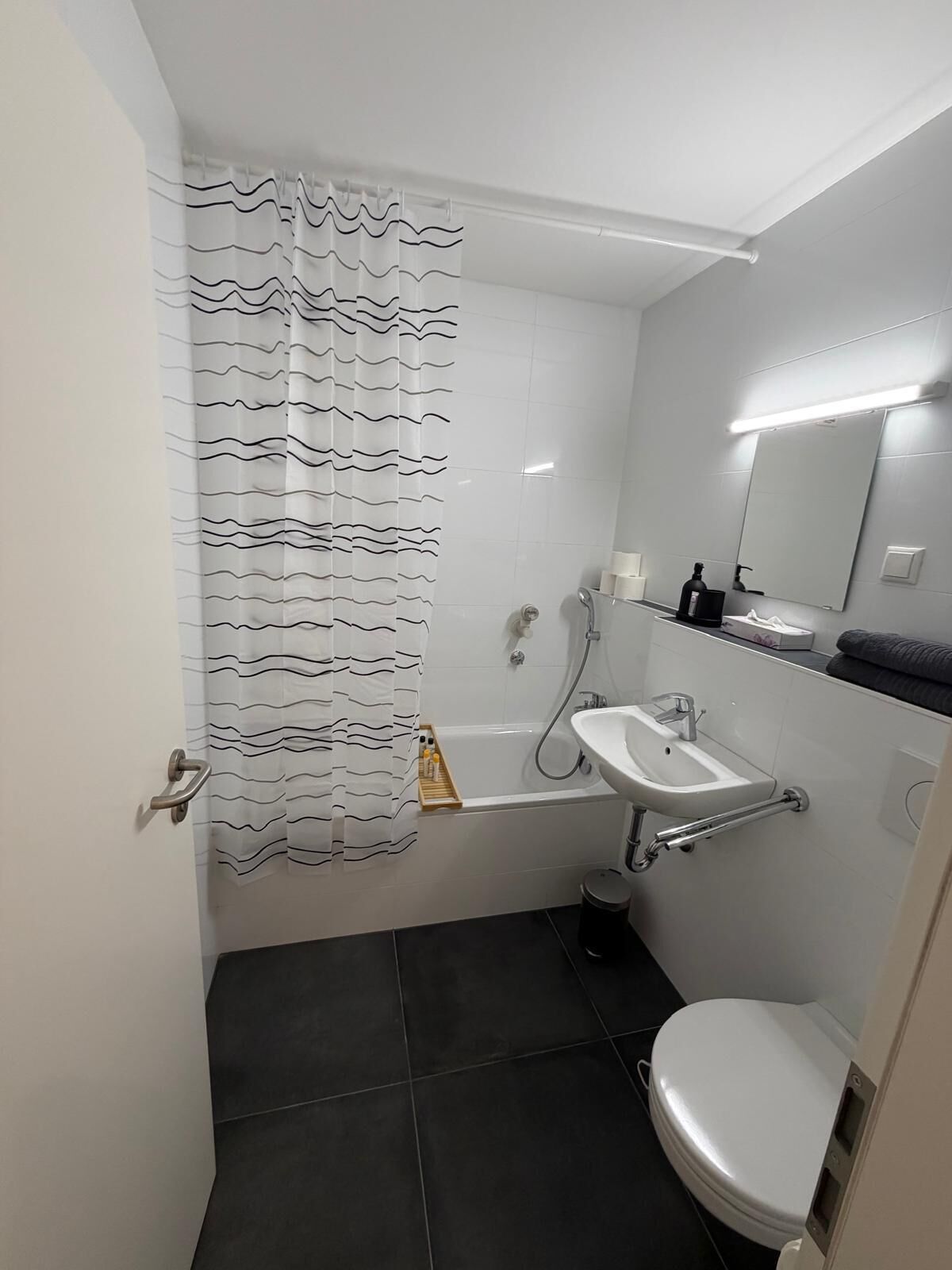 Hair dryer, towels, soap, toilet paper