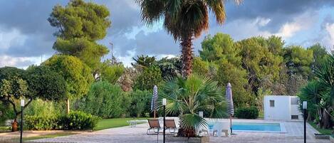 Seasonal outdoor pool, pool umbrellas, pool loungers