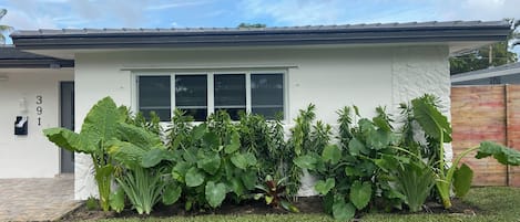 Ein modernes Haus mit weißer Fassade, einem großen Fenster und einem gepflegten Garten mit verschiedenen Pflanzen.