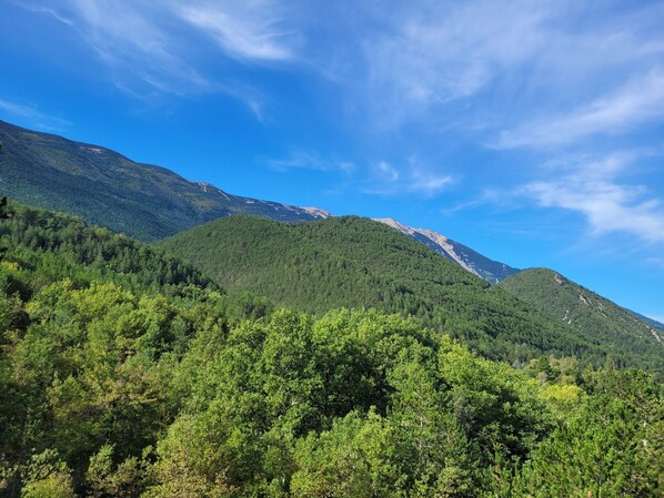 A mountainous landscape with dense forest and a clear sky.