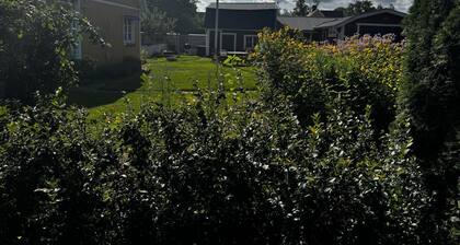 Private Room with Shared Kitchen & Bathroom.