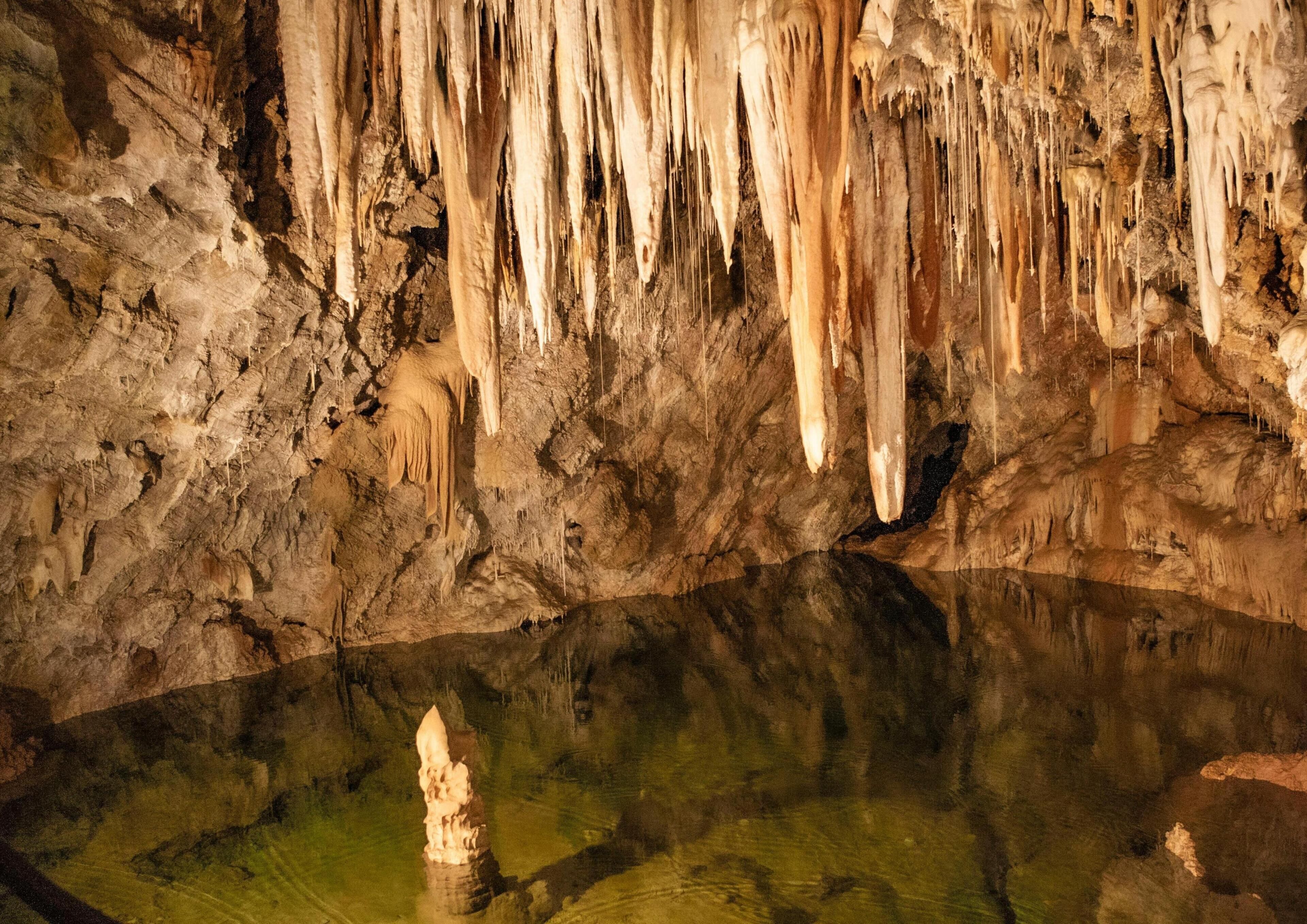 A cave interior with stalactites and stalagmites, a reflective water pool, and a rocky floor.