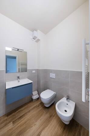Shower, hair dryer, bidet, towels