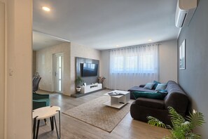 TV, fireplace - Villa Va.Lunga with pool and wirpool and barbecue (Pula)